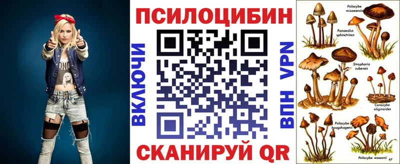 Псилоцибиновые грибы Cubensis Белогорск