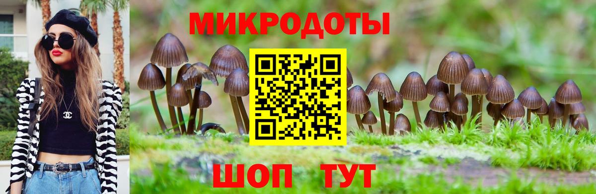 Псилоцибиновые грибы мицелий Белогорск